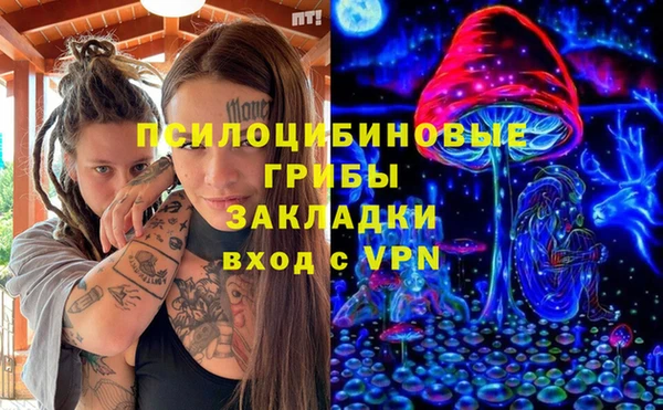 спайс Алзамай